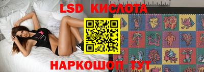 PSILOCYBIN Краснодар